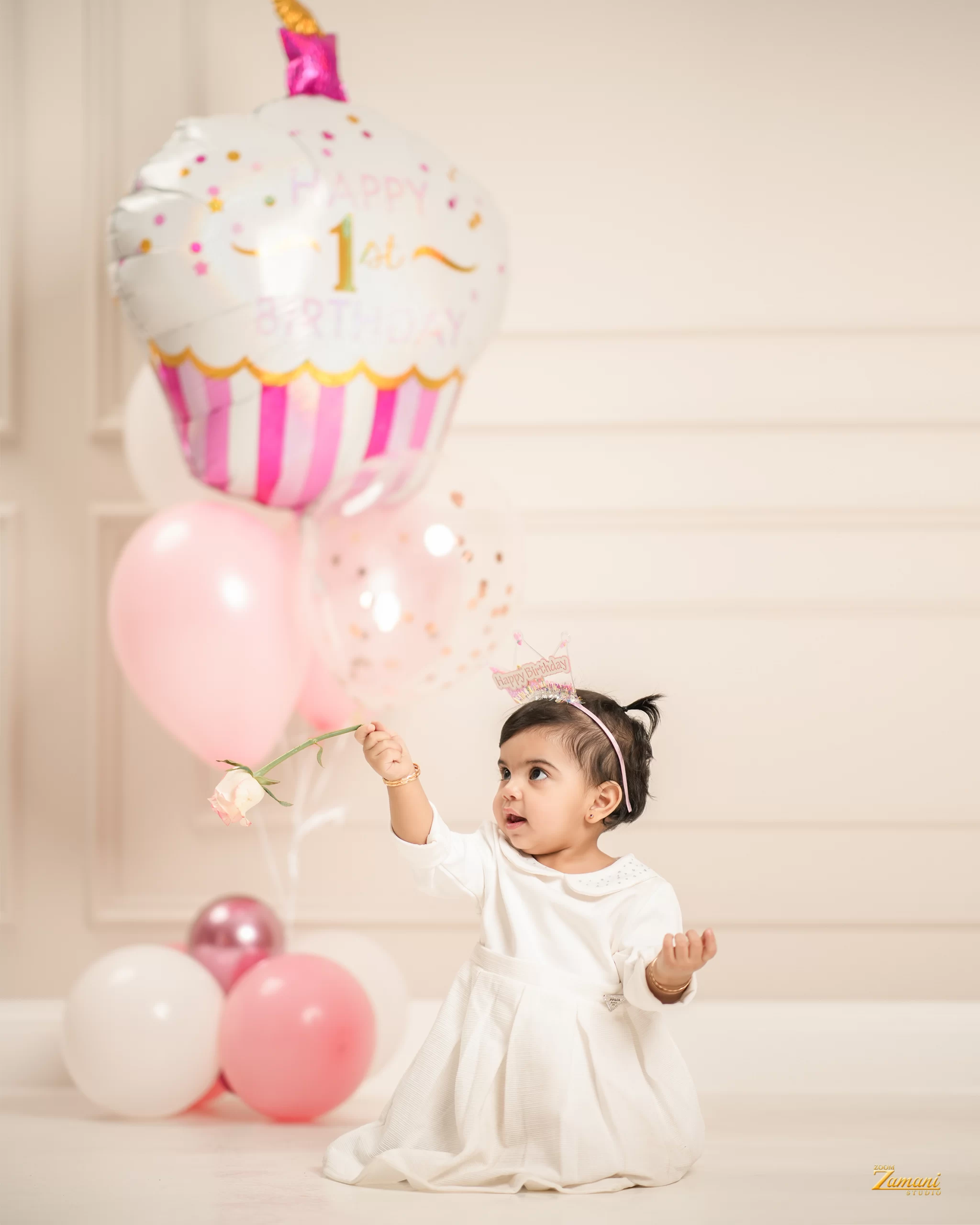 Zoom Zamani — مناسبات